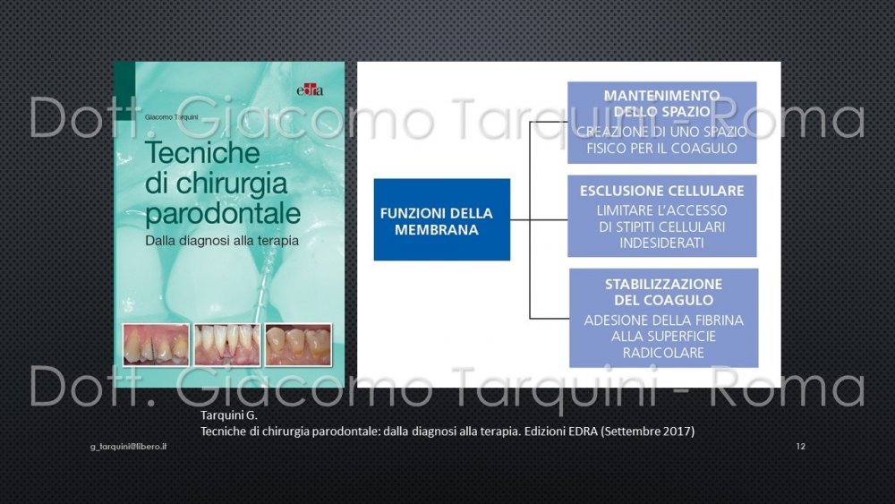 Diapositiva12.thumb.JPG.0e404e32fb93a10dcf7f0281388fef0d.JPG
